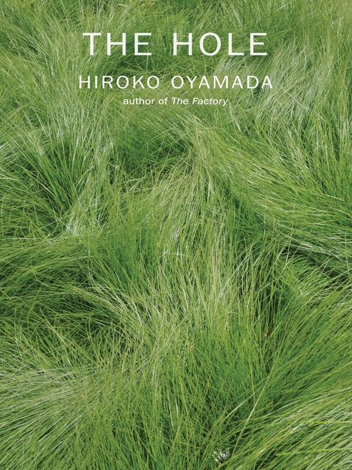 Title details for The Hole by Hiroko Oyamada - Wait list
